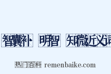 智囊补·明智·知微近义词是什么意思的图片